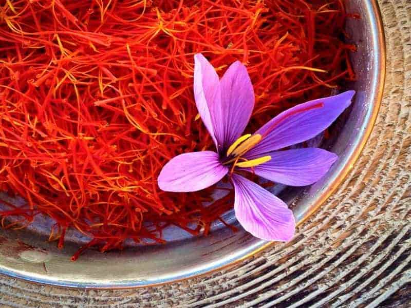 خرید زعفران ممتاز در مشهد + قیمت فروش استثنایی